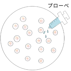 FISH法：プローべを細胞に流すイメージ