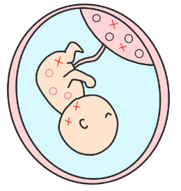 胎盤モザイクイメージ：赤ちゃんにもトリソミー細胞がある