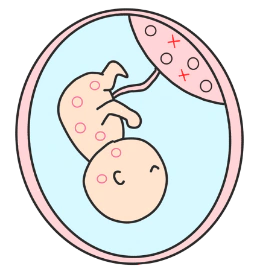 胎盤モザイクイメージ：赤ちゃんは正常細胞のみ
