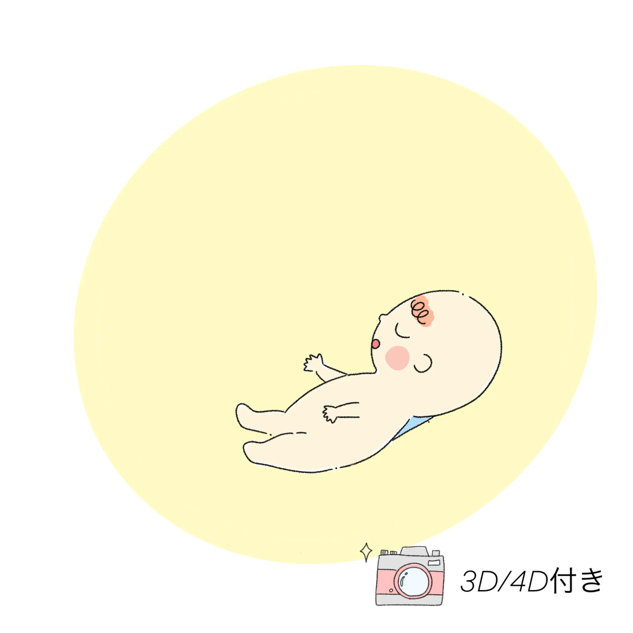 イメージ：初期胎児精密検査