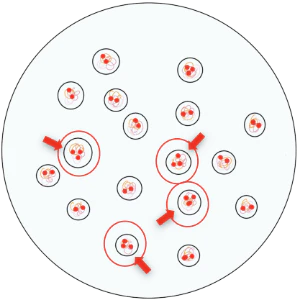 FISH法：正常細胞とトリソミー細胞イメージ